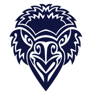 Raven Logo