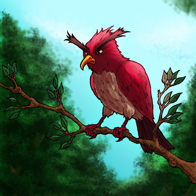 Scarlet Aggrokeet